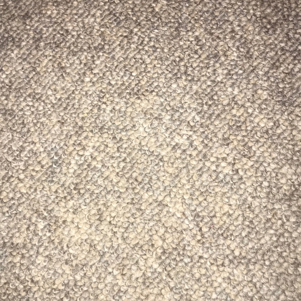 Meet your Posher, Tamara